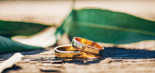Wedding rings. Wedding day. Love concept