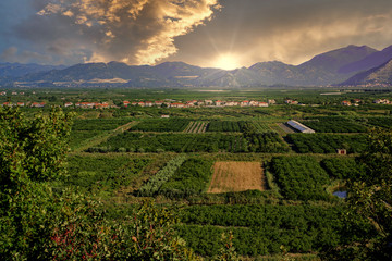 view of crop fields in Croatia