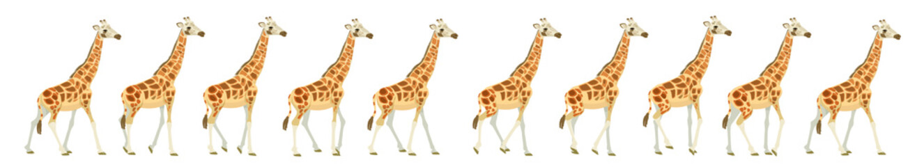 Giraffe run cycle animation sequence, frames for animation