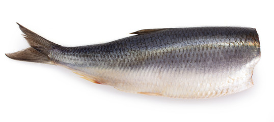 Salted herring on white background