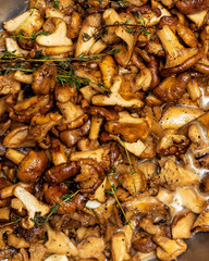 mushrooms