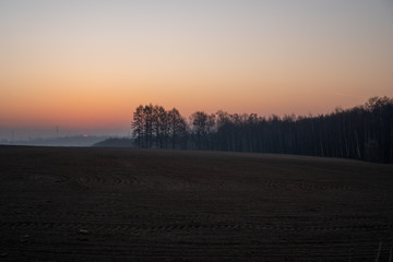 sunrise on a field ready for seedlings with trees in the background