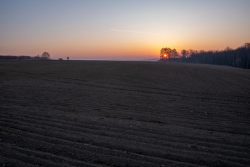 Fototapeta premium beautiful field at sunrise with forest in background