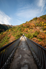 Fototapeta premium 橋