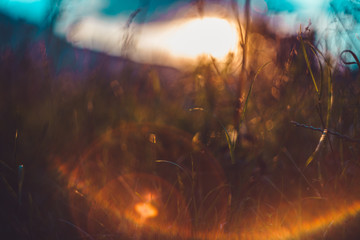 Beautiful summer golden sunset behind a green grass field with yellow sun rays and blurry bokeh in...