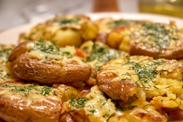 mashed potatoes with cheese and herbs