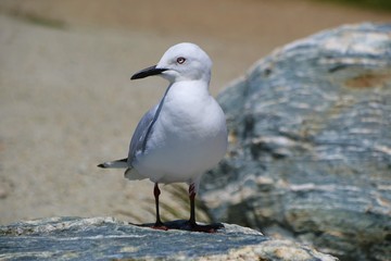 Candid shots of Nature