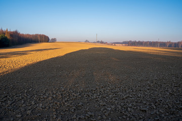 Field at sunrise with a little fog and beautiful colors in spring