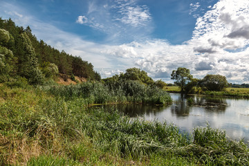 Fototapeta na wymiar Green meadow by the river near the forest