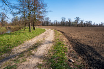 Fototapeta na wymiar dirt road near field with river and trees around in spring, Czech Olza