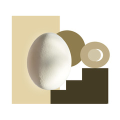 Single white realistic organic chicken egg from the farm close-up