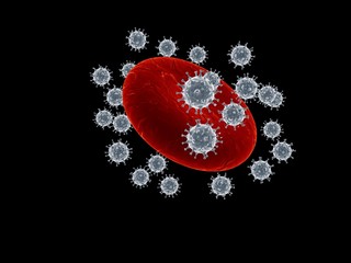 red cell attacked of coronavirus