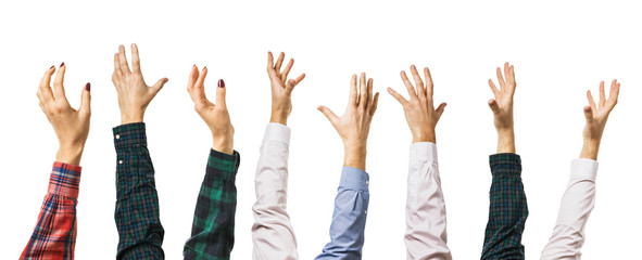 Fototapeta premium Many different hands raised up isolated on a white background