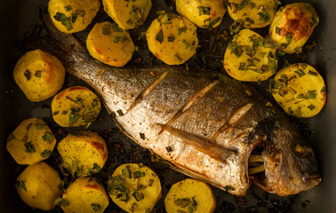 fish roasted with potato in a tray