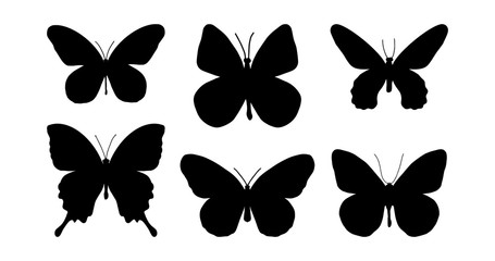 Butterflies silhouette set. Vector illustration