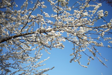 Spring to action for 2020