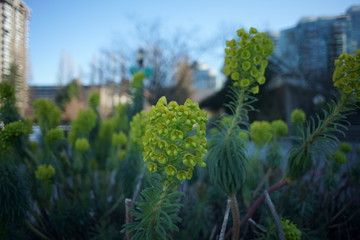 Spring to action for 2020