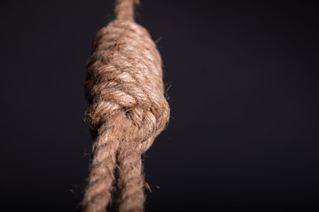 Close-up of a hang noose rope on grey background in studio - obrazy, fototapety, plakaty