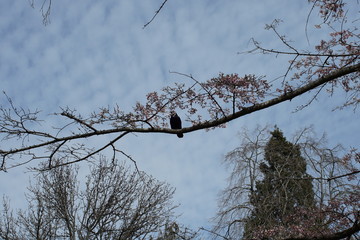 Spring to action for 2020