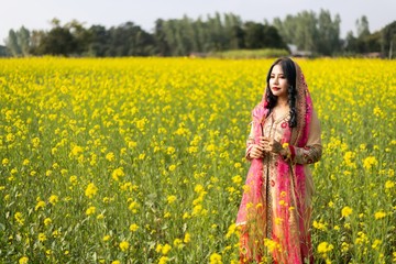 Beautiful south east asian girl in traditional Indian sari/saree