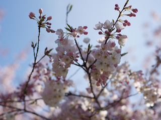 Spring to action for 2020