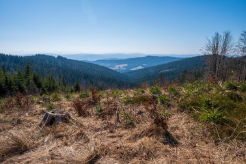 View of hills and valleys covered with spruces in the mountains, Czech Beskydy