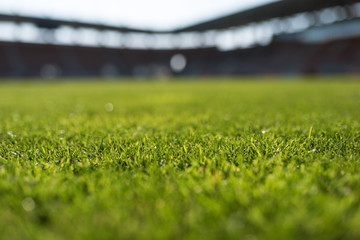 Grass at football stadium during sunny day
