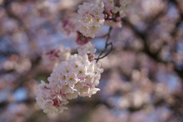 Spring to action for 2020