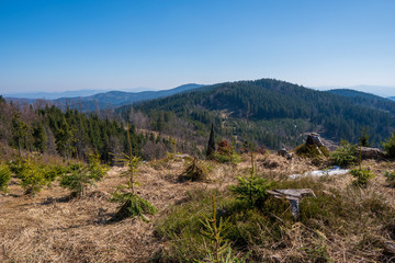 View of hills and valleys covered with spruces in the mountains, Czech Beskydy