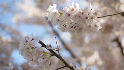 Spring to action for 2020