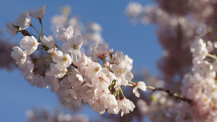 Spring to action for 2020