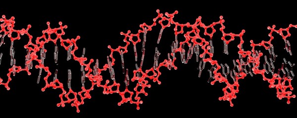 3d glass red dna molecule with black background