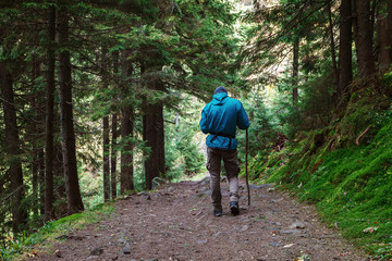 Fototapeta premium Lone traveler on a forest trail in the mountains