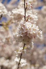 Spring to action for 2020