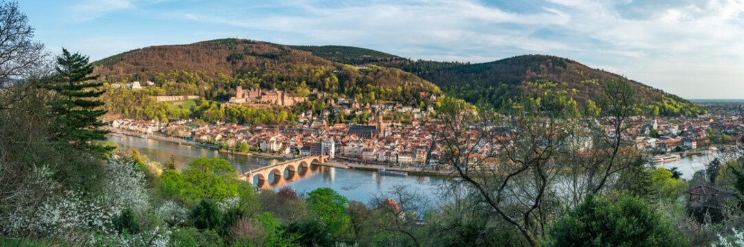 Panoramic view from the Philosopher's Walk in Heidelberg during spring season, Baden-Württemberg, Germany