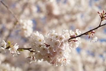 Spring to action for 2020