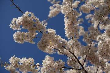 Spring to action for 2020