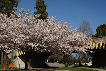 Spring to action for 2020