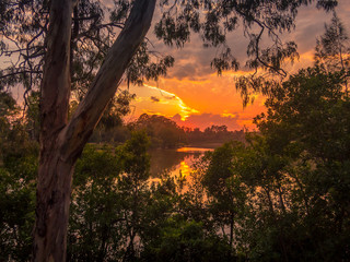 Beautiful Golden River Sunrise