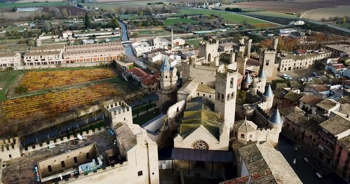 Aerial view of castle Palacio Real de Olite. Navarre. Spain