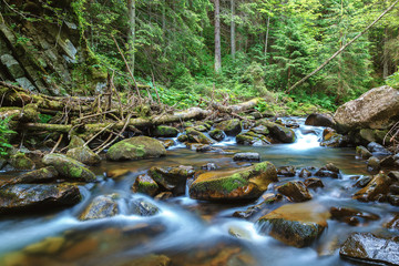 Naklejka na ściany i meble Mountain river creek among stones and trees