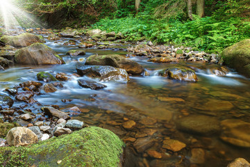 Mountain river creek among stones and trees