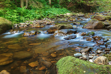 Fototapeta na wymiar Mountain river creek among stones and trees