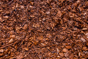 texture of brown wood and leafs