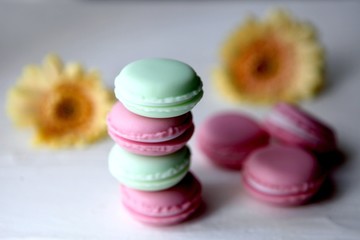 Tasty macaroon colourful texture. A french sweet delicacy, colorful macaroons variety closeup with flowers on white backround.