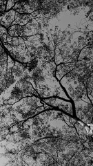 black and white background