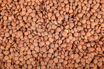 Grains of lentils as a background