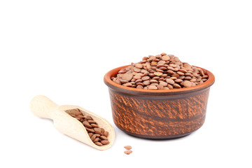 Lentil kernels isolated on a white background