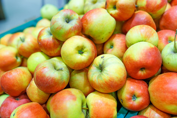 red green apples