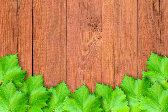 Background from vertical boards with grape leaves located on it. Image made in a farm style.